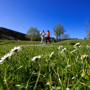 Image of green space on campus