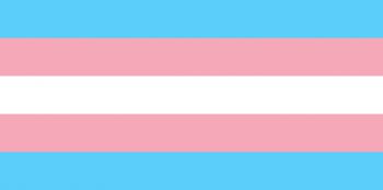 Picture of Transgender Flag with pink, white and blue horizontal stripes