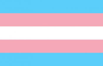 Picture of Transgender Flag with pink, white and blue horizontal stripes