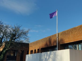 Disability flag flying over Sussex House building