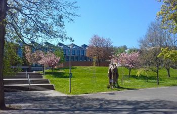 Photo of trees outside Bramber House