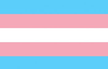 The trans flag with a pink blue and white horizontal stripes