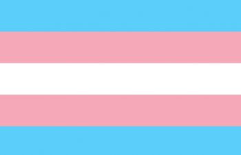 The trans flag with a pink blue and white horizontal stripes
