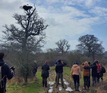 Students admiring the nest building skills of white storks up in the trees during a guided safari tour