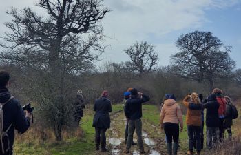 Students admiring the nest building skills of white storks up in the trees during a guided safari tour