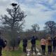 Walk on the wild side: student trip to the Knepp Rewilding project