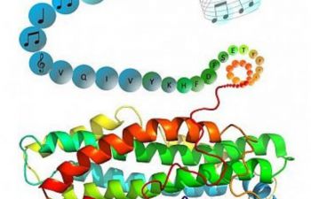 graphic illustration of DNA strands which form into musical sheet notes