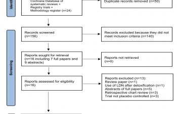 Fig. 2 from review: Identification of studies of fibromyalgia, LDN and Inflammatory Markers.