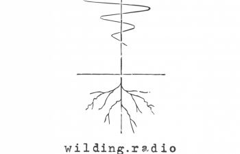 Logo of wilding radio