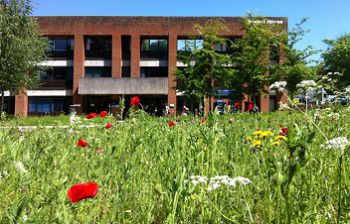 Sussex House on campus