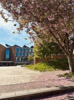 Campus in late Spring
