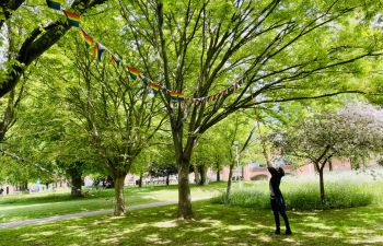 A member of the LGBTQ+ Staff Network attaching pride bunting to a tree on campus