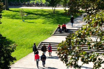 University of Sussex campus