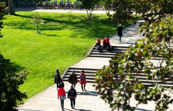 University of Sussex campus