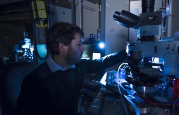 Photo of researcher recording activity in neurons Sussex Neuroscience