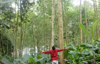 Young person photographs what matters to them in their local area - lowland forested Chocó region of Ecuador