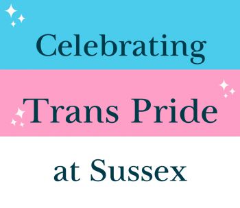 A picture of a trans pride flag with pink blue and white stripes that says the words celebrating trans pride at sussex.