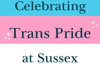 A picture of a trans pride flag with pink blue and white stripes that says the words celebrating trans pride at sussex.