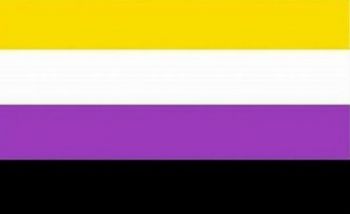 the nonbinary pride flag with a yellow purple black and white stripes