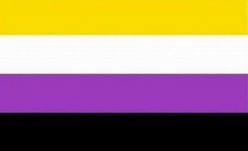 the nonbinary pride flag with a yellow purple black and white stripes