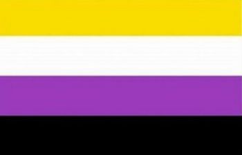 the nonbinary pride flag with a yellow purple black and white stripes