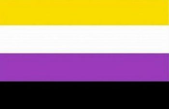 the nonbinary pride flag with a yellow purple black and white stripes