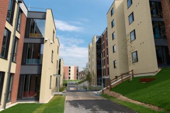 Two modern buildings on the side of the image with a road in the middle