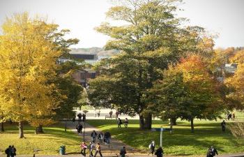 Photograph of the University of Sussex campus