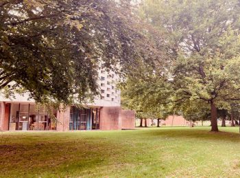 Trees on campus with an autumnal filter