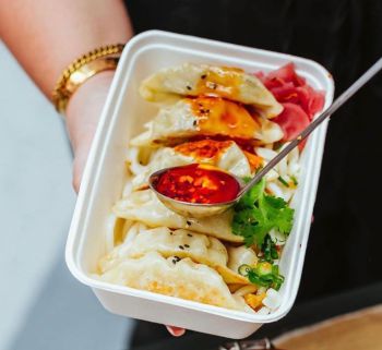 Hand holding box of dumpling and noodles