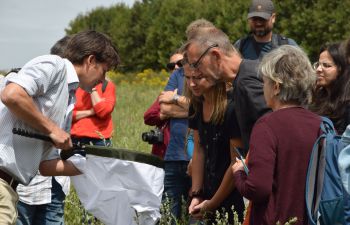 People staring into a insect trap on a field visit to Wiston Estate