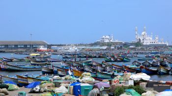 hundreds of artisanal fishing boats tied up in the harbour on the shores of the Arabian Sea