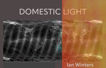 Domestic light artistic logo