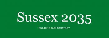 A green background with white writing that reads 'Sussex 2035: building our strategy'