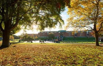 University of Sussex, campus