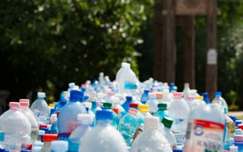 Piles of plastic bottles waiting to be recycled