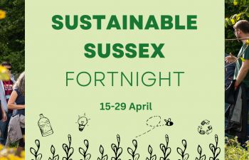 A sustainable Sussex Fortnight Graphic with illustrations of flora, recycling, bottles, and a lightbulb.