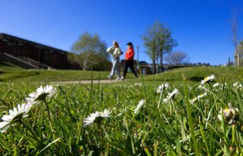 Flowers on campus with two people in background