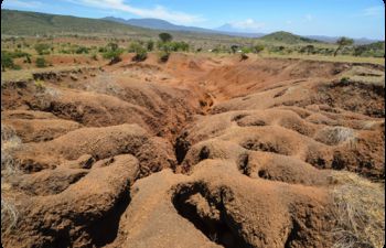 Land degradation on east African farmland