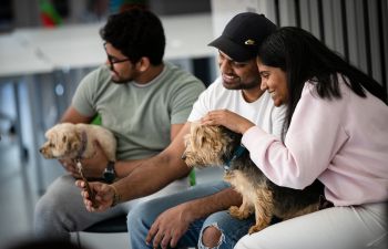 Students with a dog on their lap