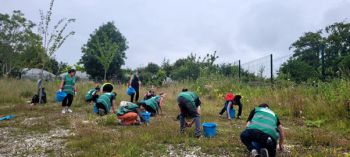 Some members of the Careers and Entrepreneurship team working on the garden