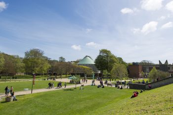A photo of the University of Sussex campus