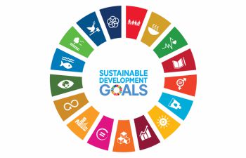 A wheel showing the Sustainable Development Goals