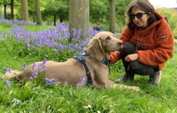 Sabina leaning down in wooded area to stroke a dog sitting on the ground