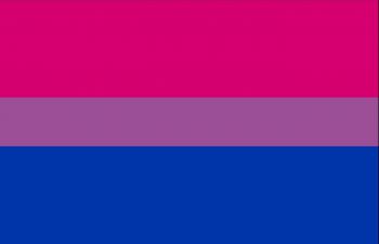 Pink, purple and blue bi-visibility flag