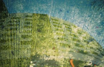 Abstract green curved roof against blue background