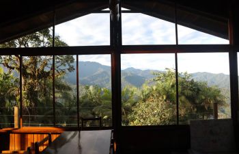 The view from a community-led reserve in the cloud forest specialising in scientific tourism, ecological fieldwork studies and ecotourism. Photo: Sam Nurney
