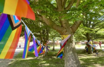 LGBTQ+ pride flag bunting stretched out between trees
