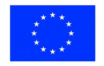 blue flag with white stars