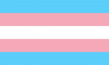 The transgender pride flag - pale blue, pink and white stripes